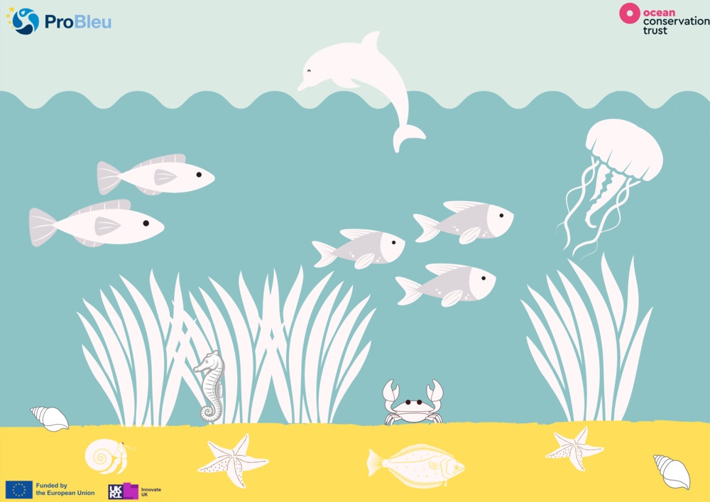 What is Seagrass? Worksheets_2