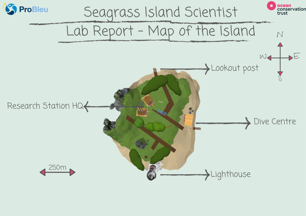 Seagrass Island Scientist - Lab report_1