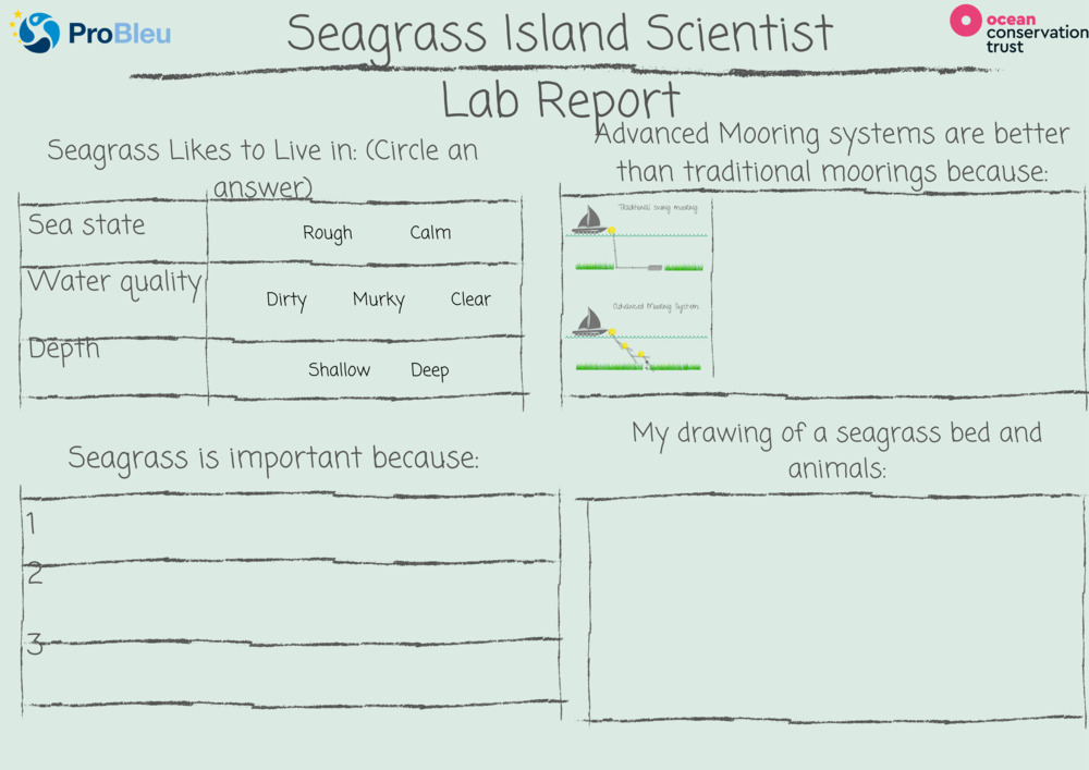 Seagrass Island Scientist - Lab report_2