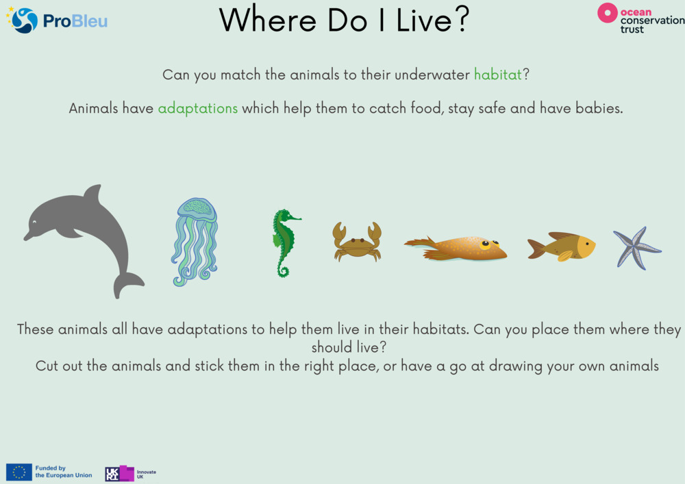 Save our Seabed - Ocean habitats Worksheet_0