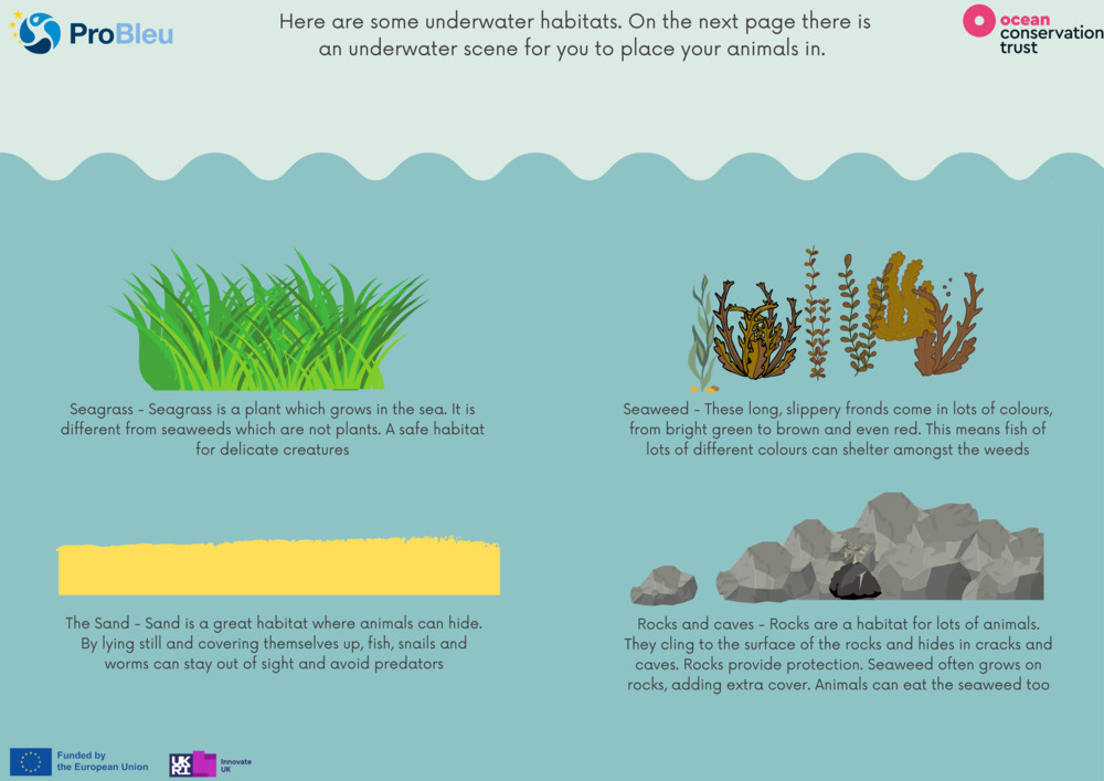 Save our Seabed - Ocean habitats Worksheet_2