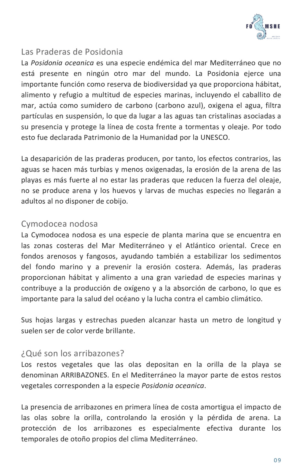 Guía educativa caballitos de mar_10