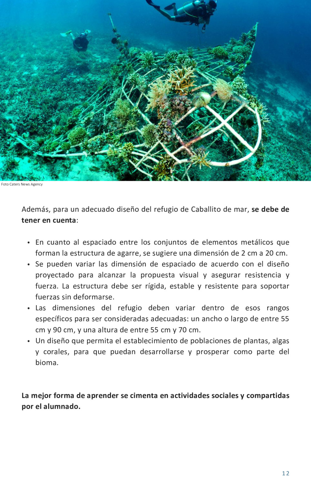 Guía educativa caballitos de mar_13