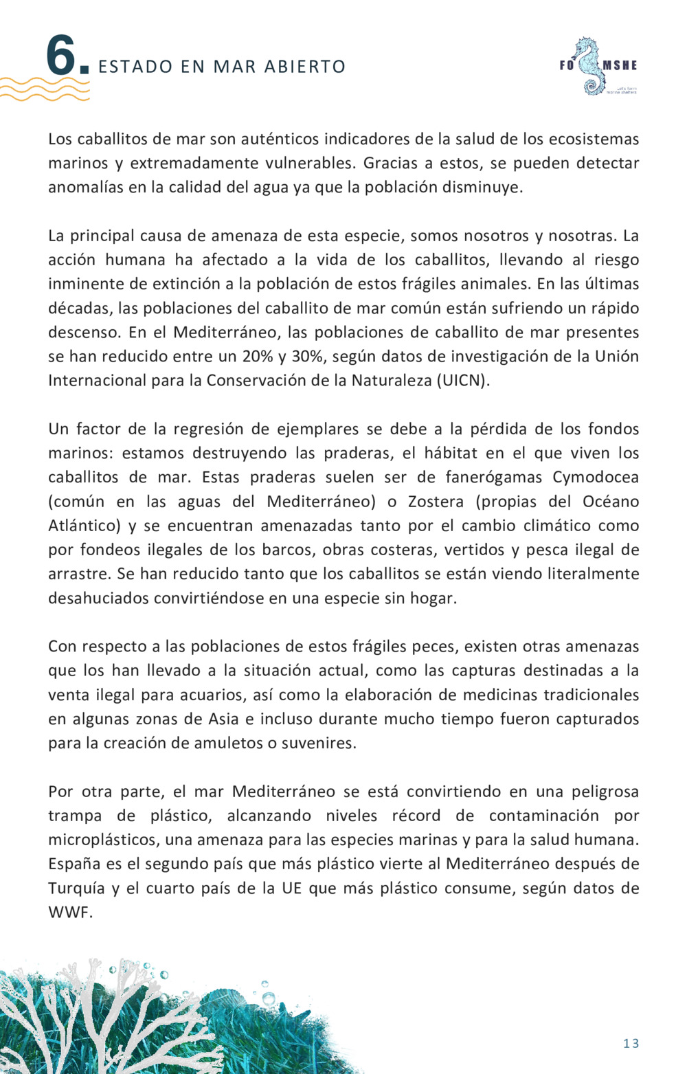 Guía educativa caballitos de mar_14