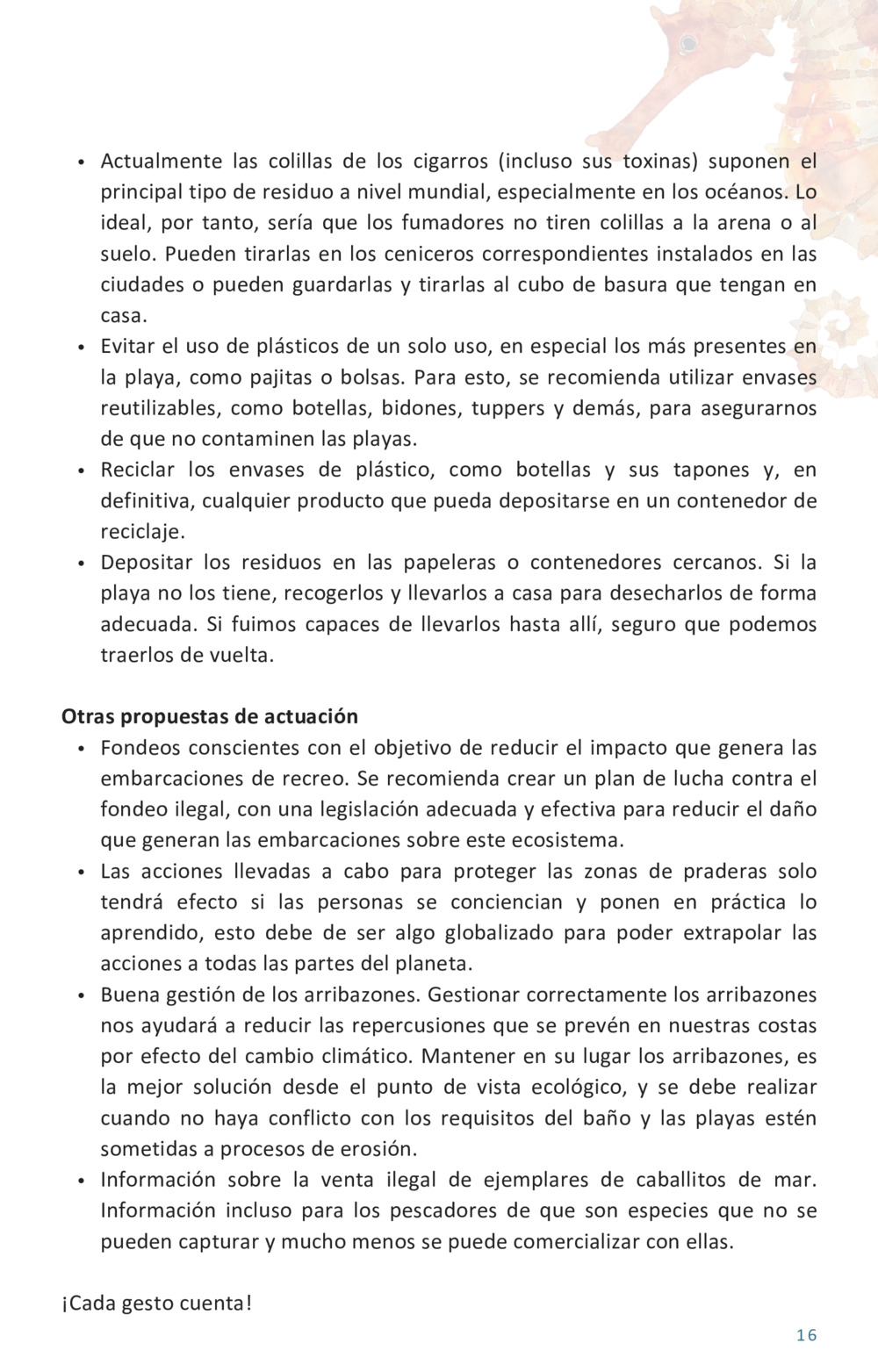 Guía educativa caballitos de mar_17