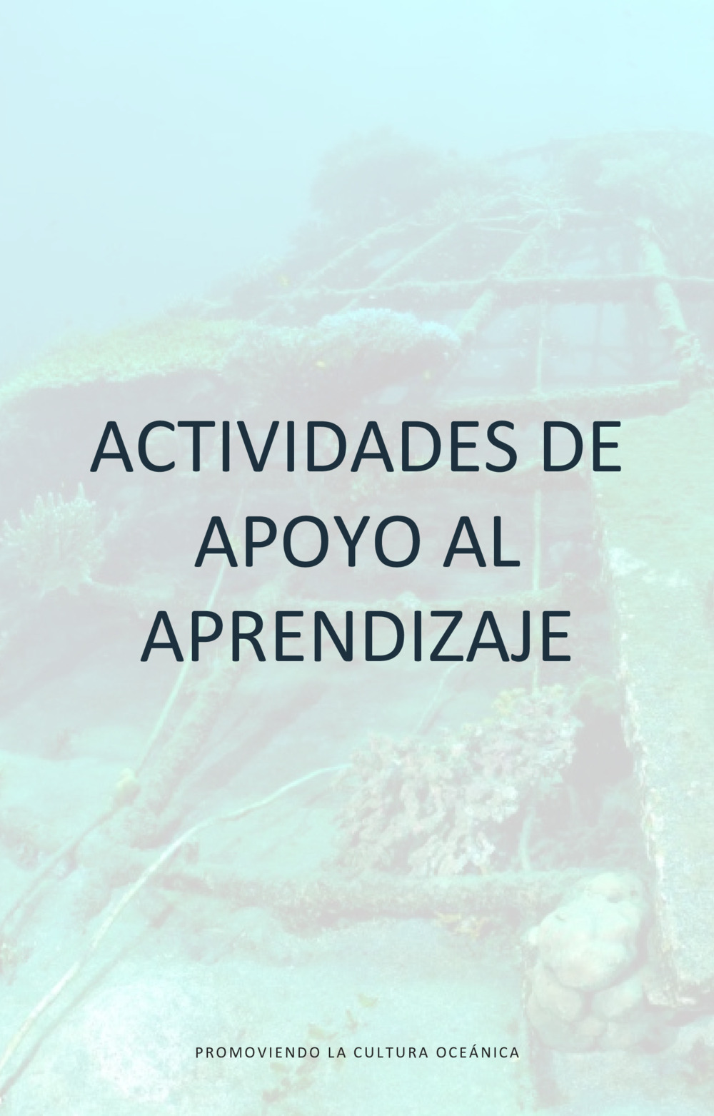 Guía educativa caballitos de mar_19