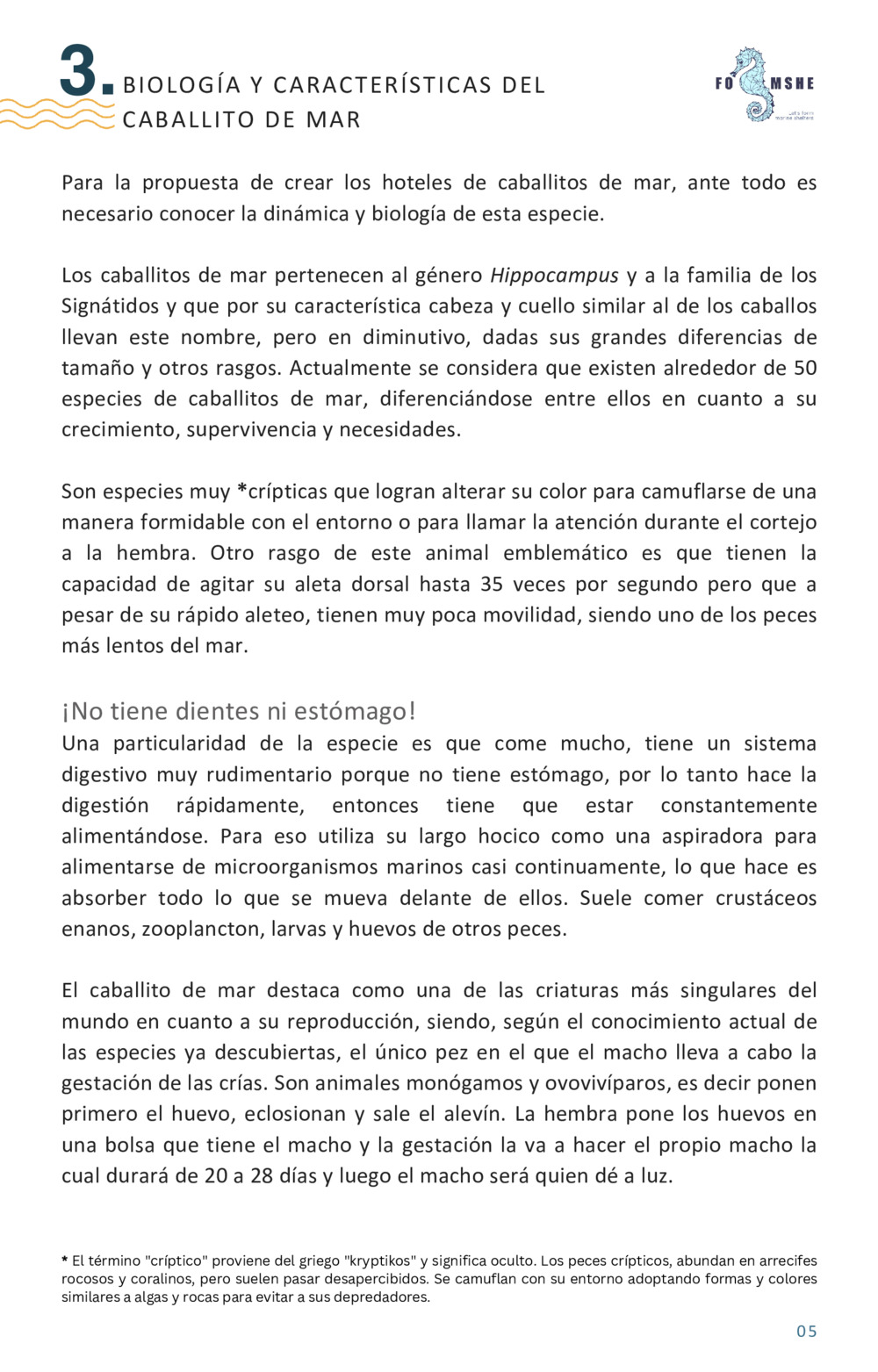Guía educativa caballitos de mar_6