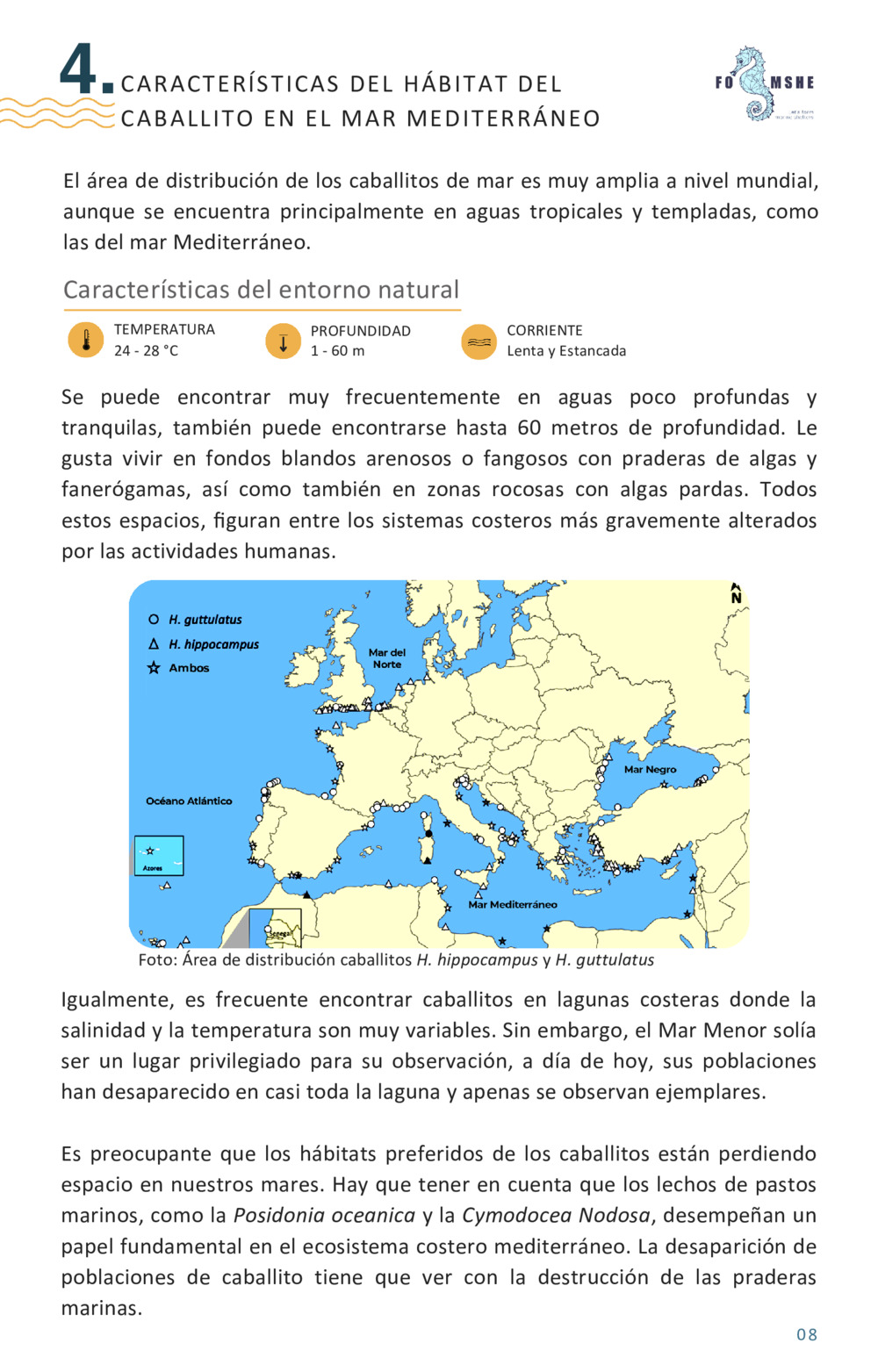Guía educativa caballitos de mar_9