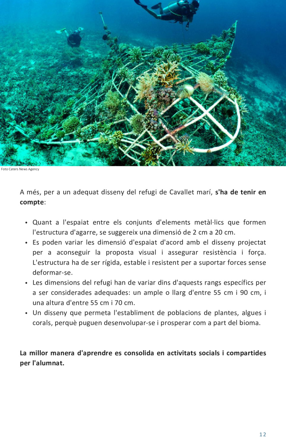 Guía educativa caballitos de mar_12