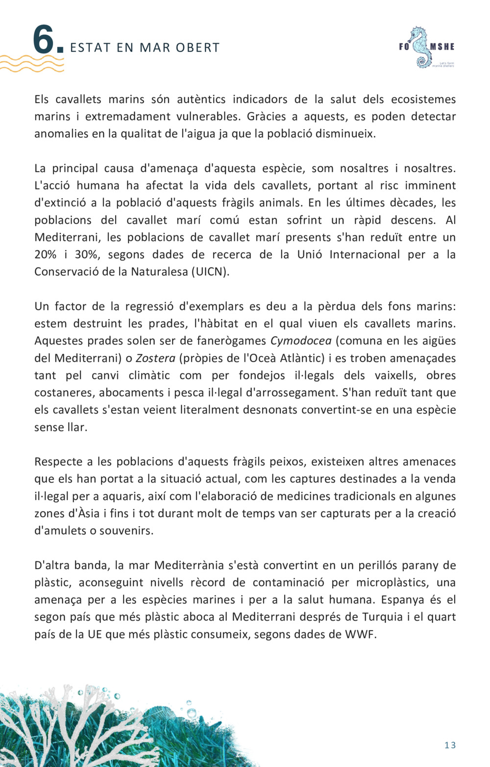 Guía educativa caballitos de mar_13