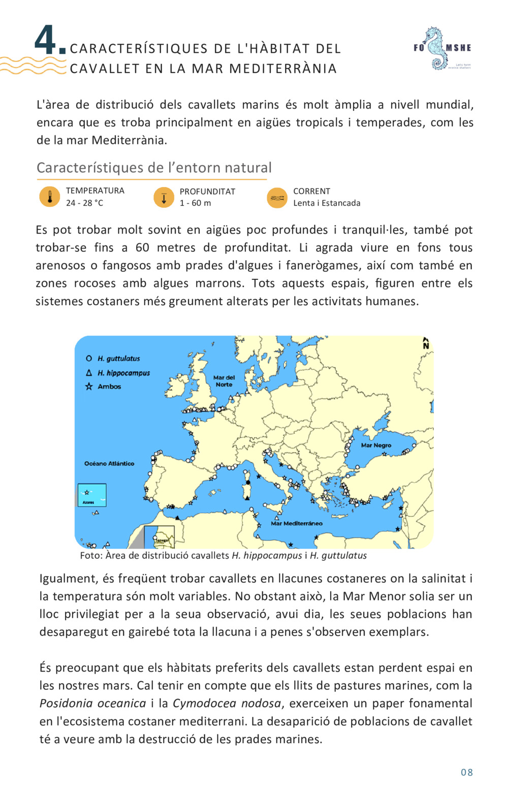 Guía educativa caballitos de mar_8