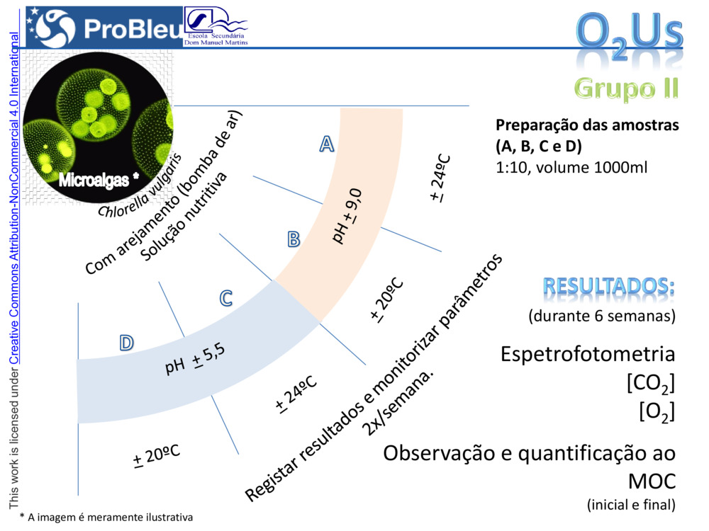 O2Us - Desenhos investigativos (Flowchart)_2