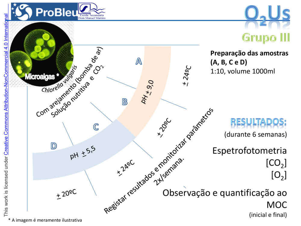 O2Us - Desenhos investigativos (Flowchart)_3