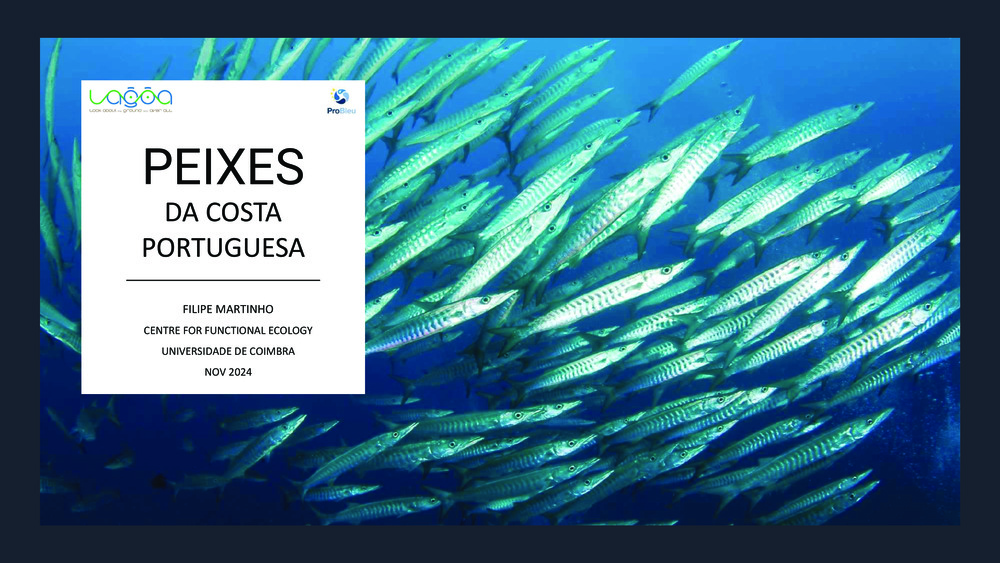 Peixes da Costa Portuguesa_0