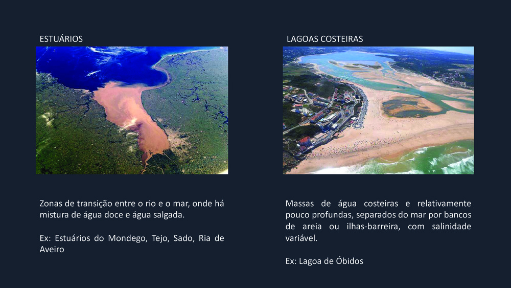 Peixes da Costa Portuguesa_4