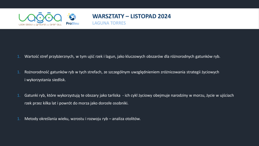 RYBY WYBRZEŻA  PORTUGALII_2