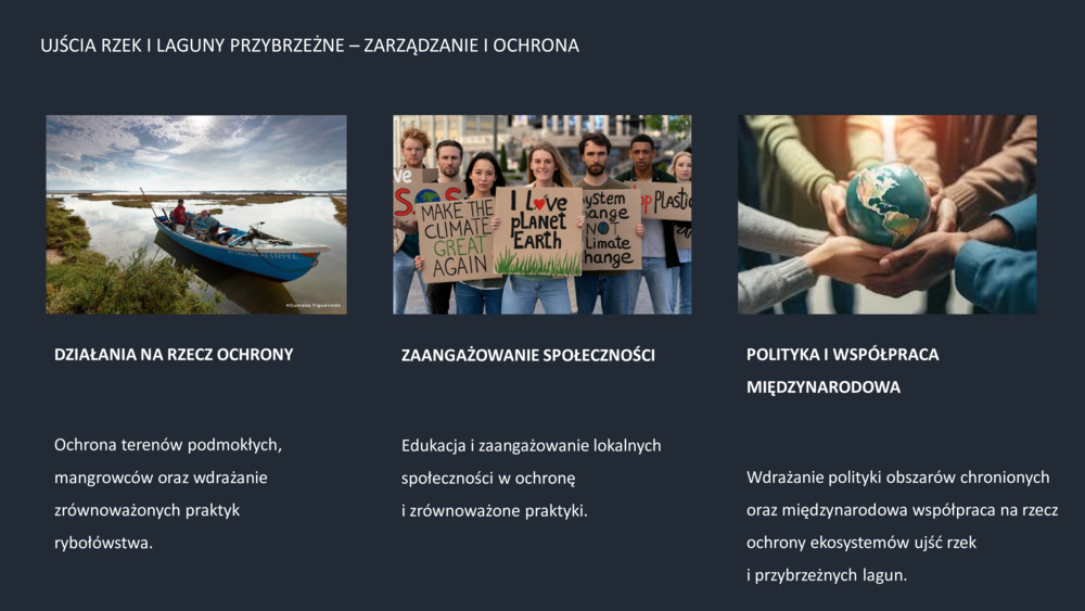 RYBY WYBRZEŻA  PORTUGALII_9