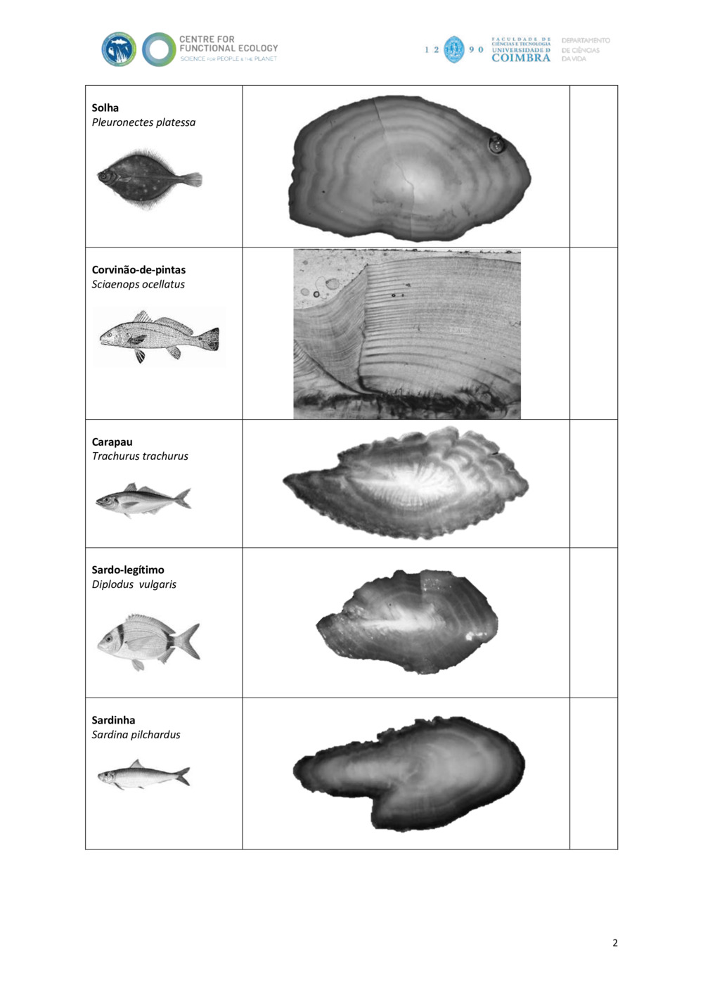 Identificação de otólitos de peixes marinhos - Ficha de Trabalho_1