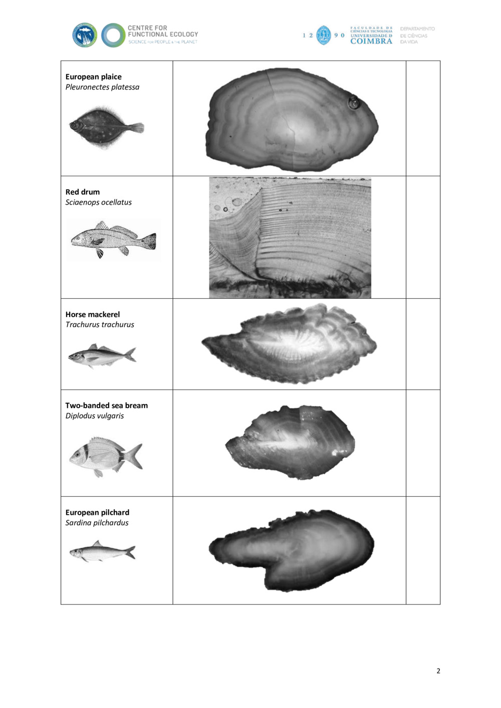 Fish otolith Ageing Chart_1