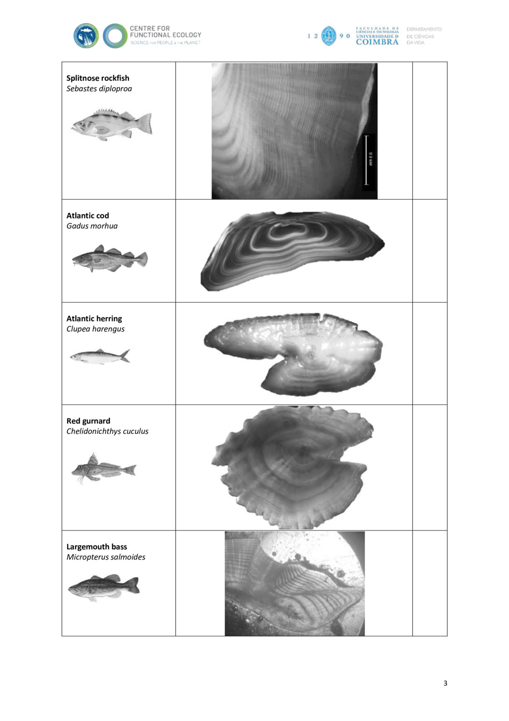 Fish otolith Ageing Chart_2