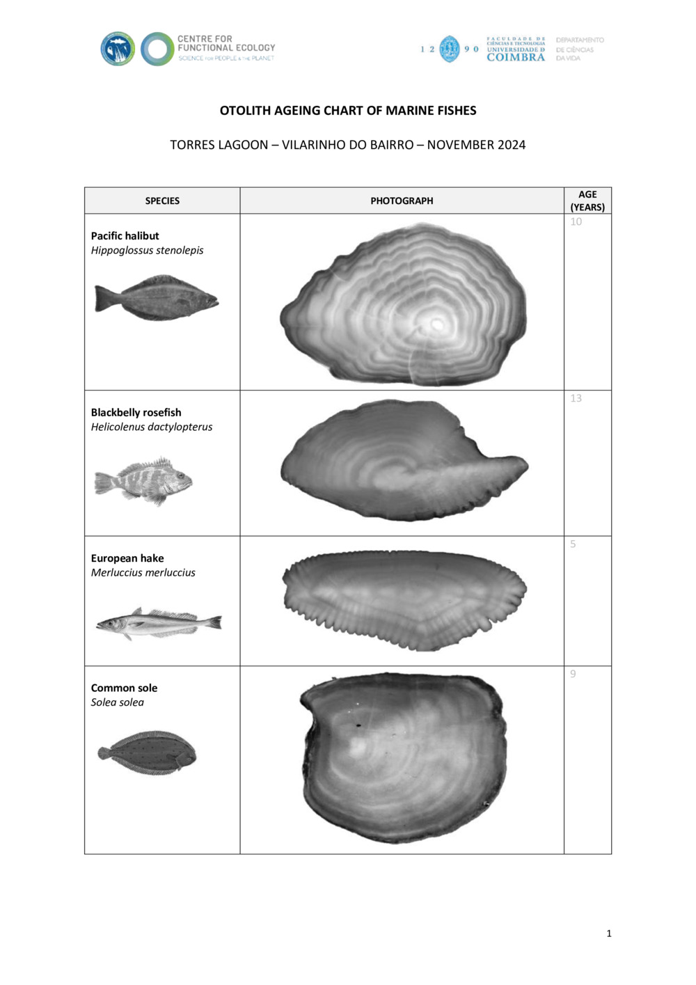 Fish otolith Ageing Chart (with solutions)_0