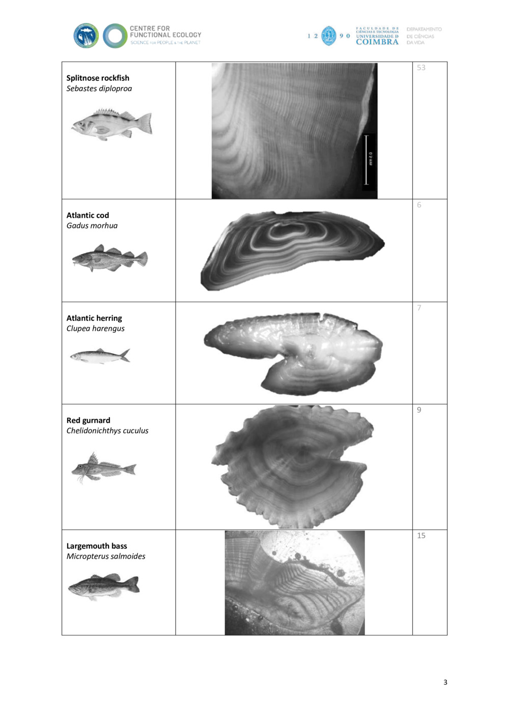 Fish otolith Ageing Chart (with solutions)_2