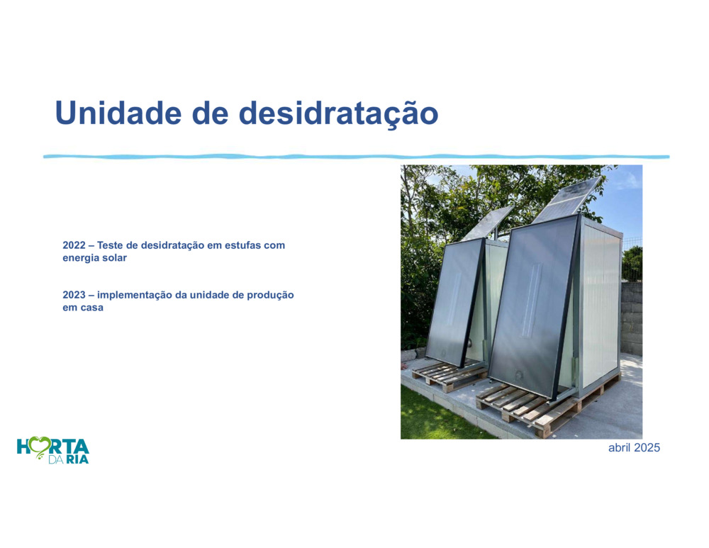 Salicórnia_12