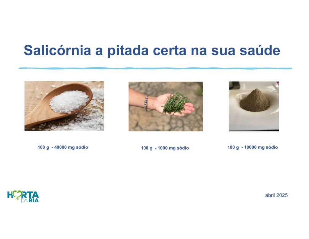 Salicórnia_13