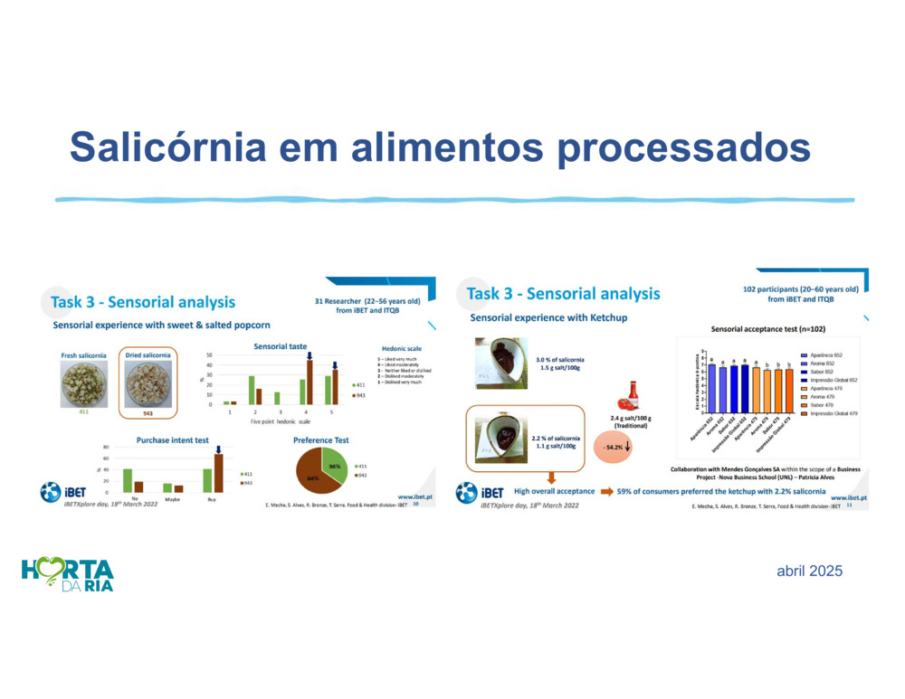 Salicórnia_14
