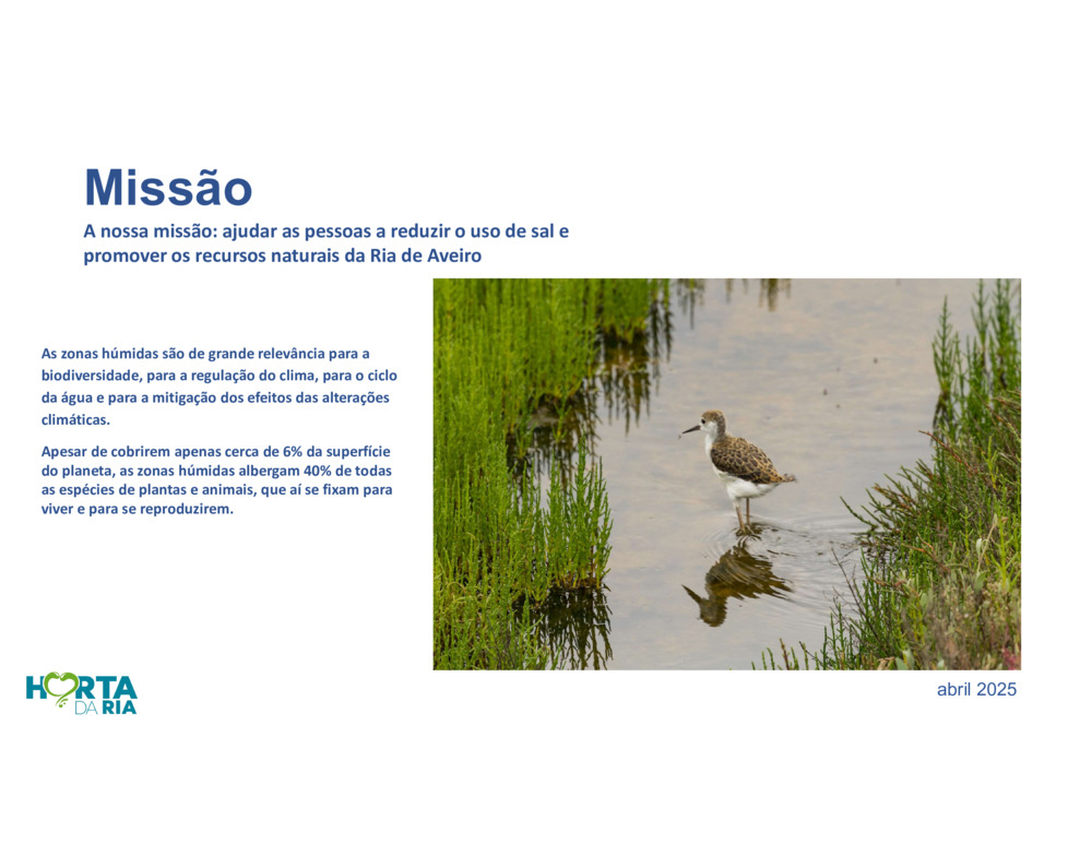 Salicórnia_17