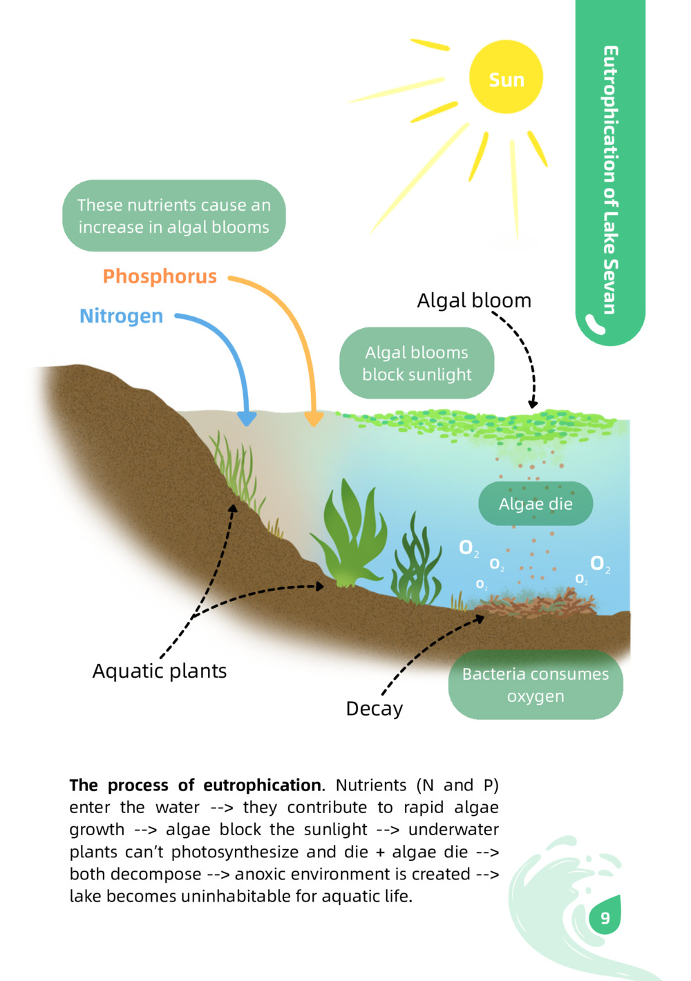 Monitoring Water Quality: Toolkit for Educators_9