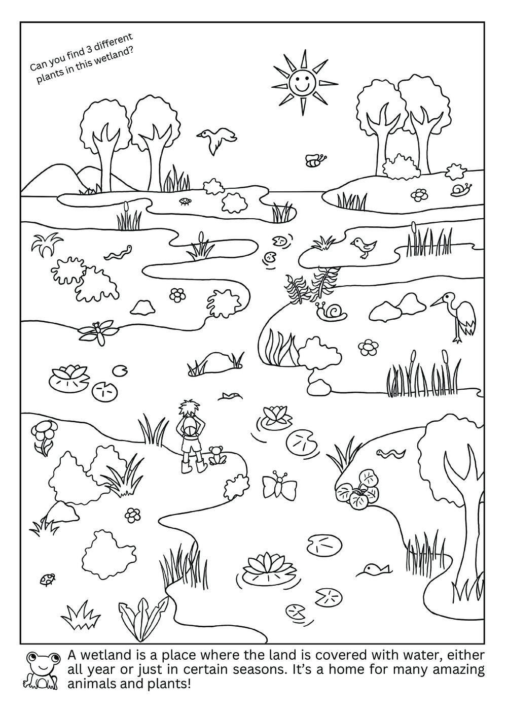Dani & Quinn's Wetland Adventure (Coloring book)_3