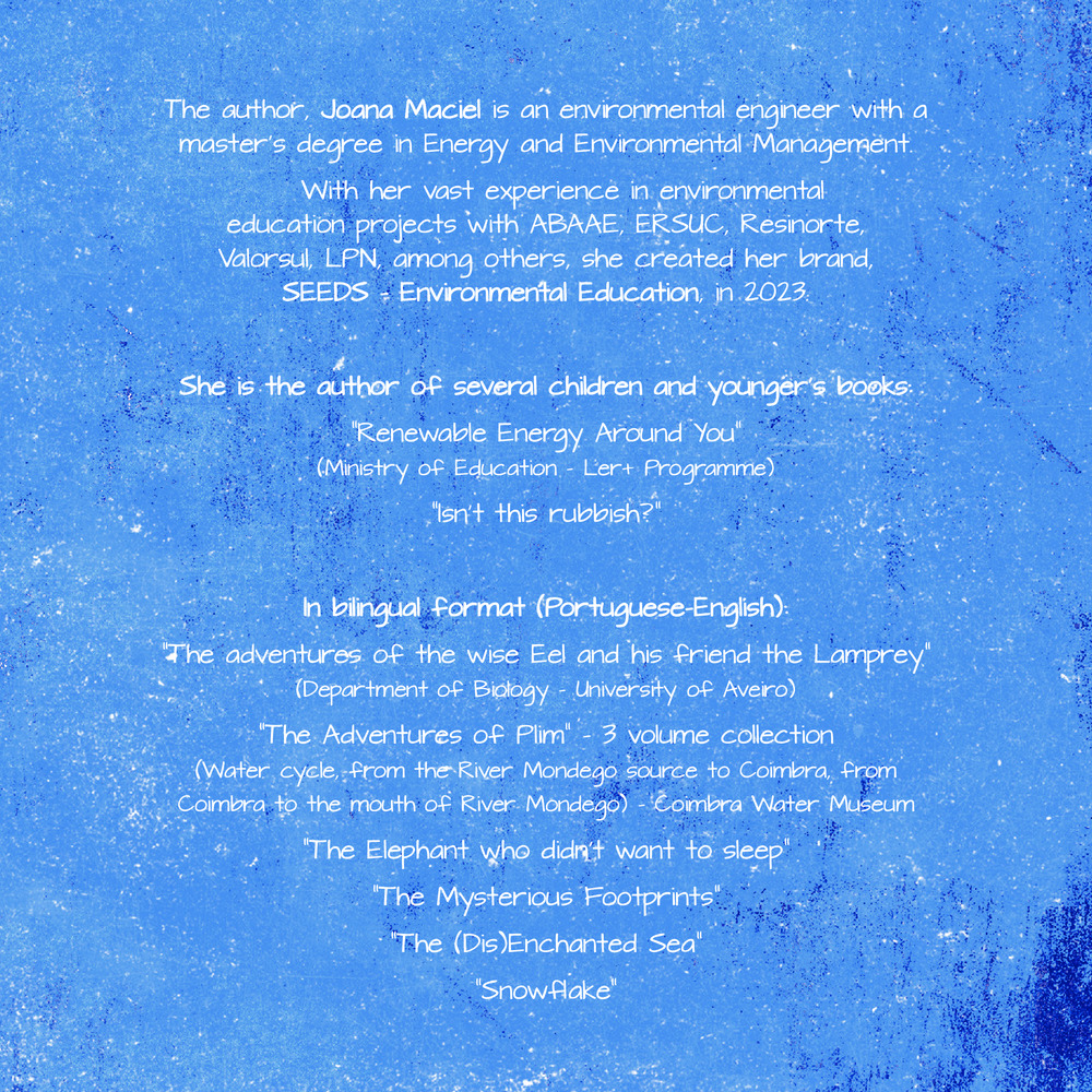 eBook "The Mysterious Lagoon"_10
