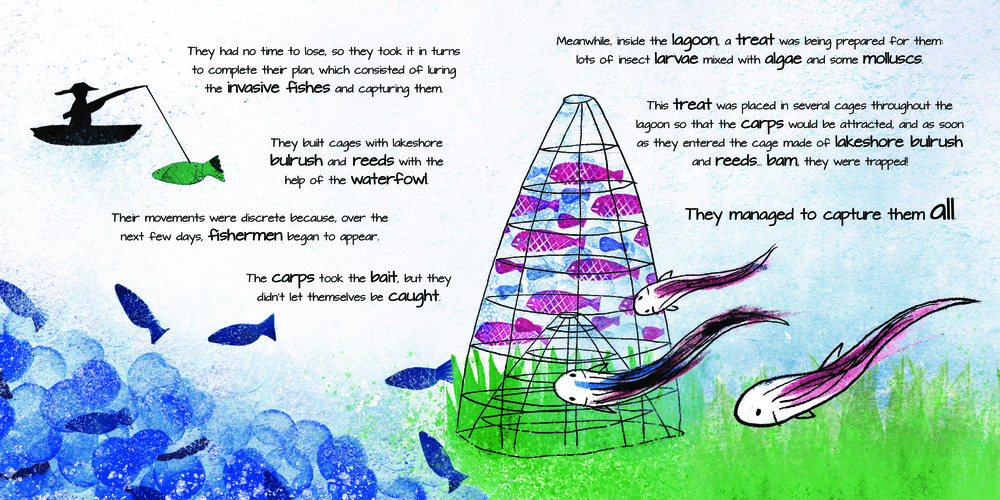 eBook "The Mysterious Lagoon"_7