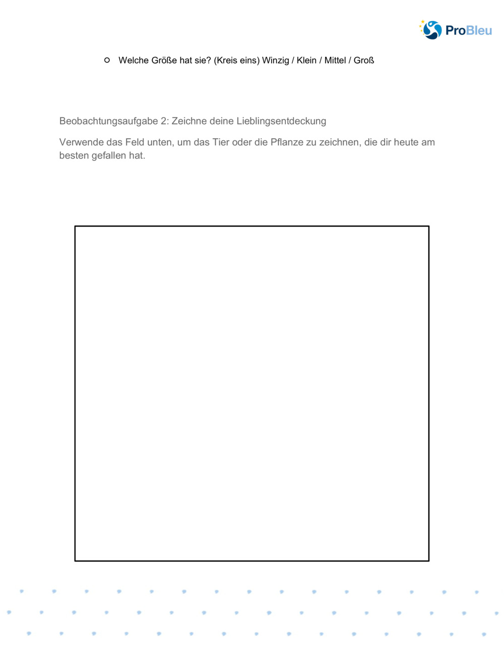 Kartierung der Biodiversität _2