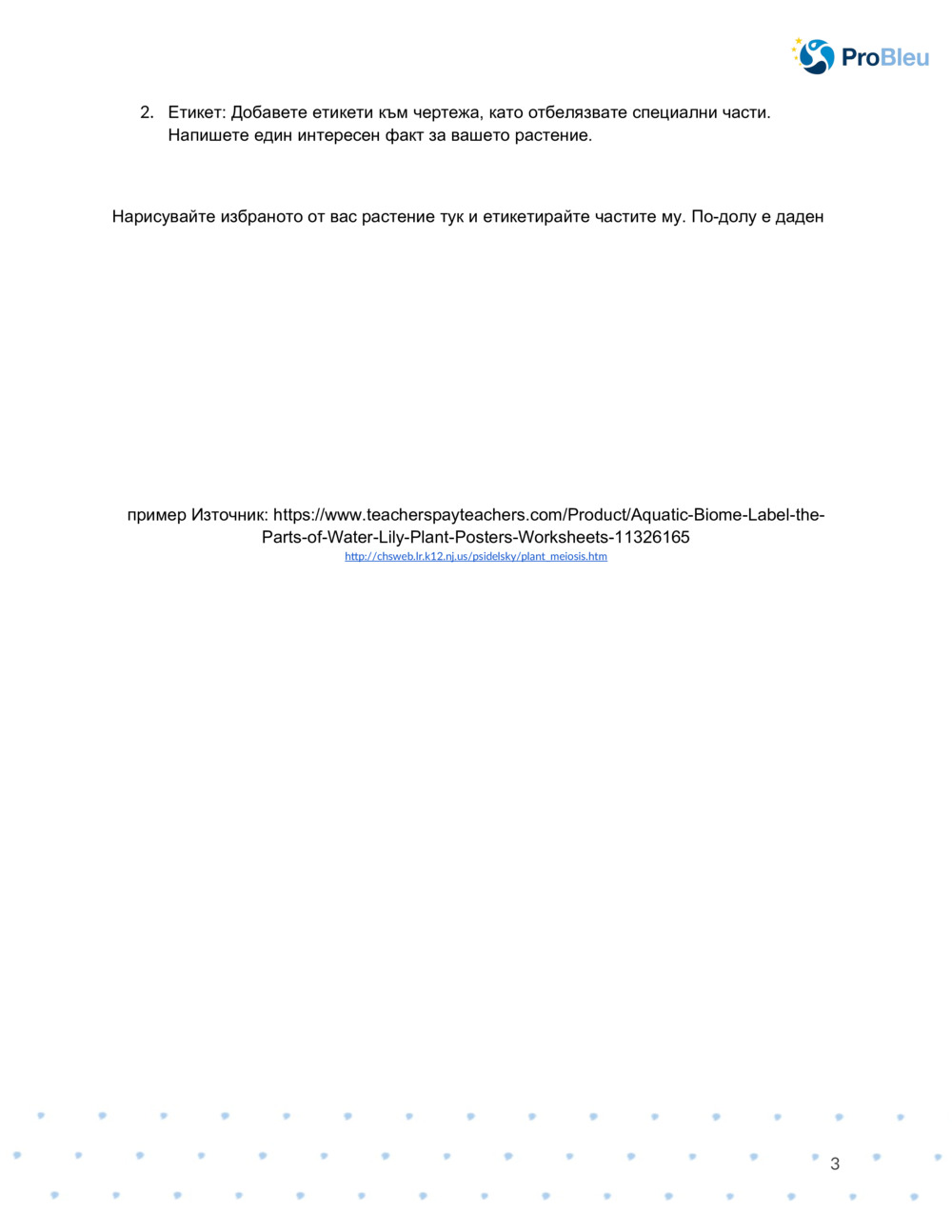  Работен лист за ботанически чертеж_2