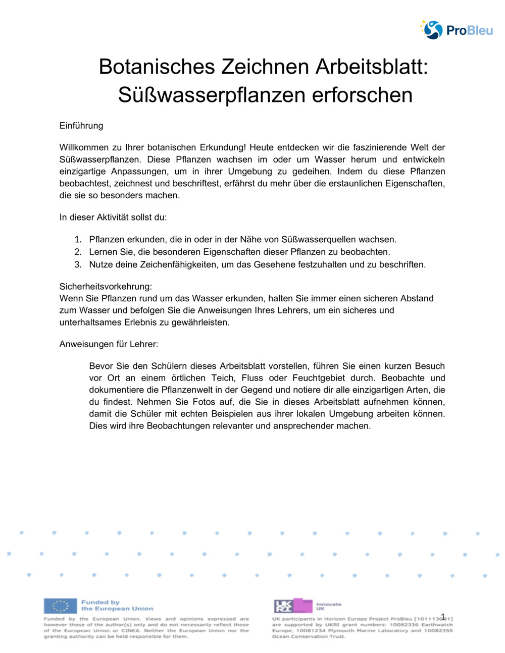  Arbeitsblatt für botanisches Zeichnen_0
