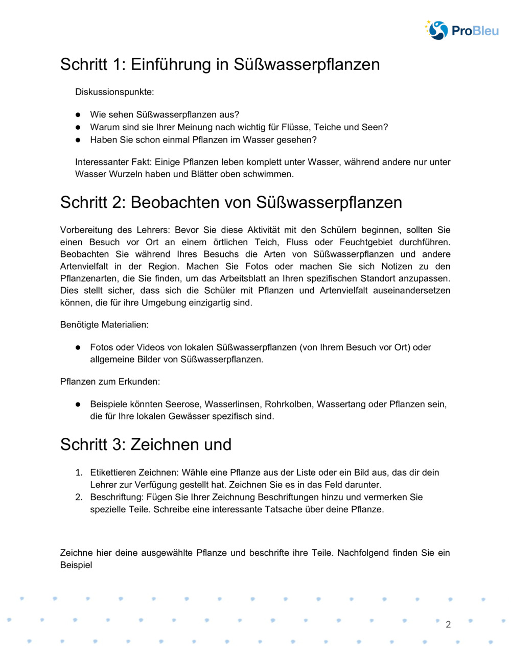  Arbeitsblatt für botanisches Zeichnen_1