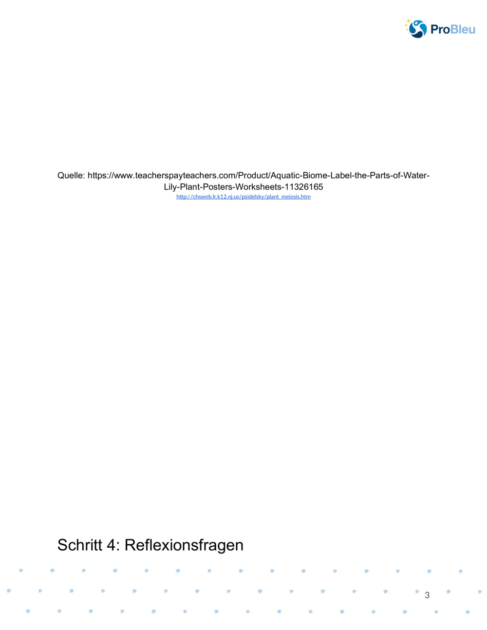  Arbeitsblatt für botanisches Zeichnen_2