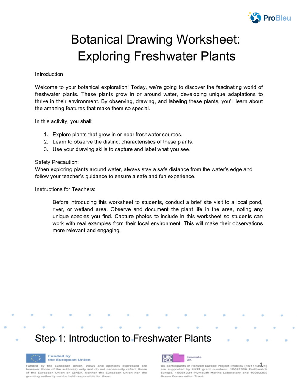  Botanical drawing worksheet_0