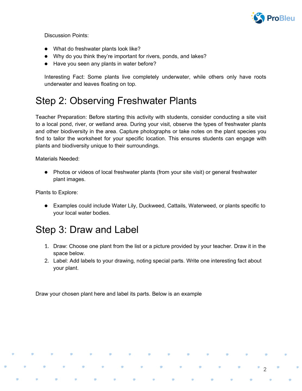 Botanical drawing worksheet_1