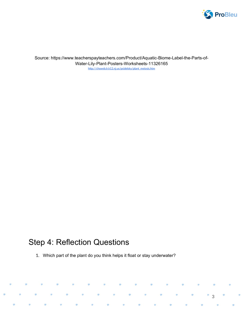  Botanical drawing worksheet_2