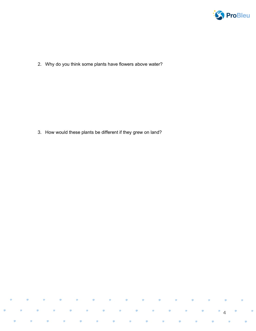  Botanical drawing worksheet_3