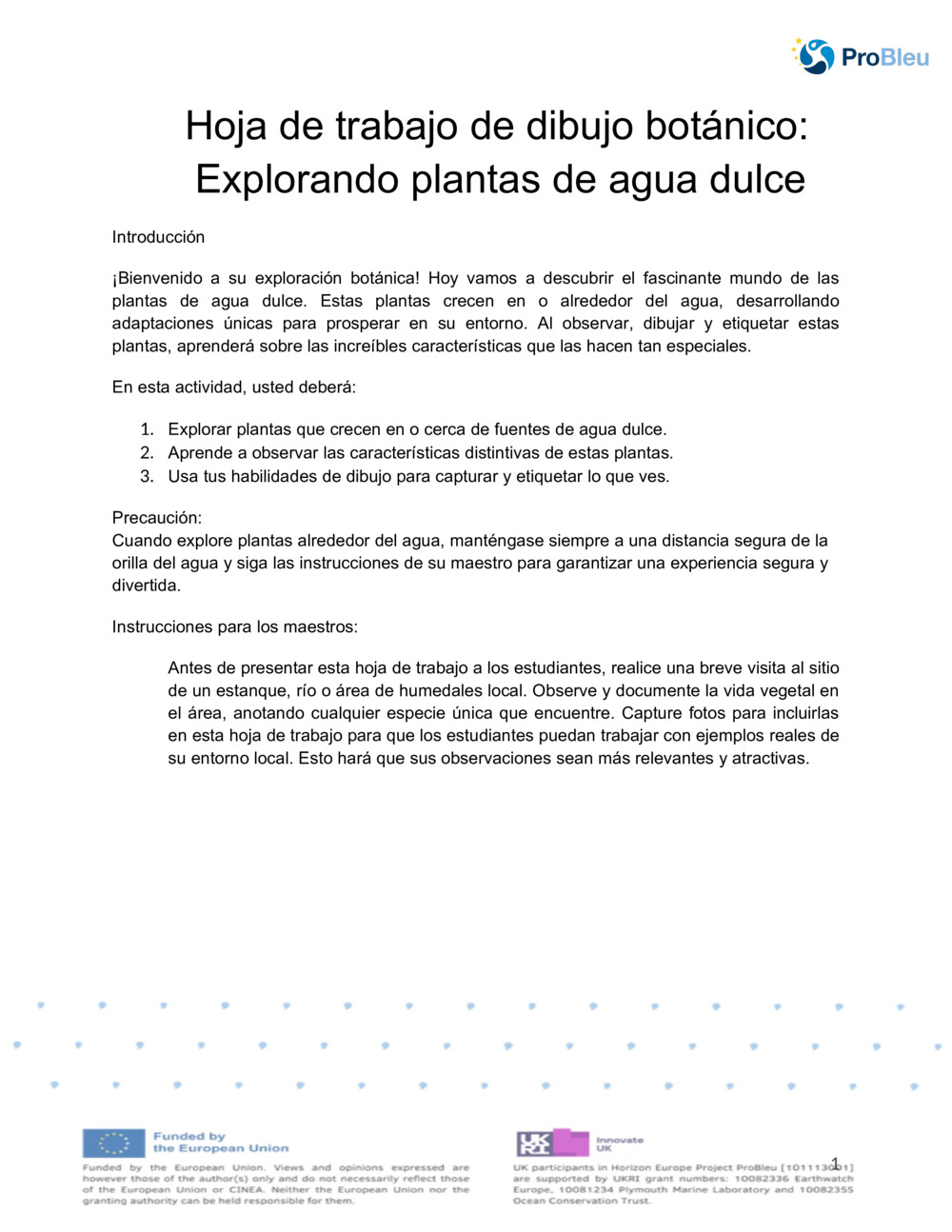  Hoja de trabajo de dibujo botánico_0