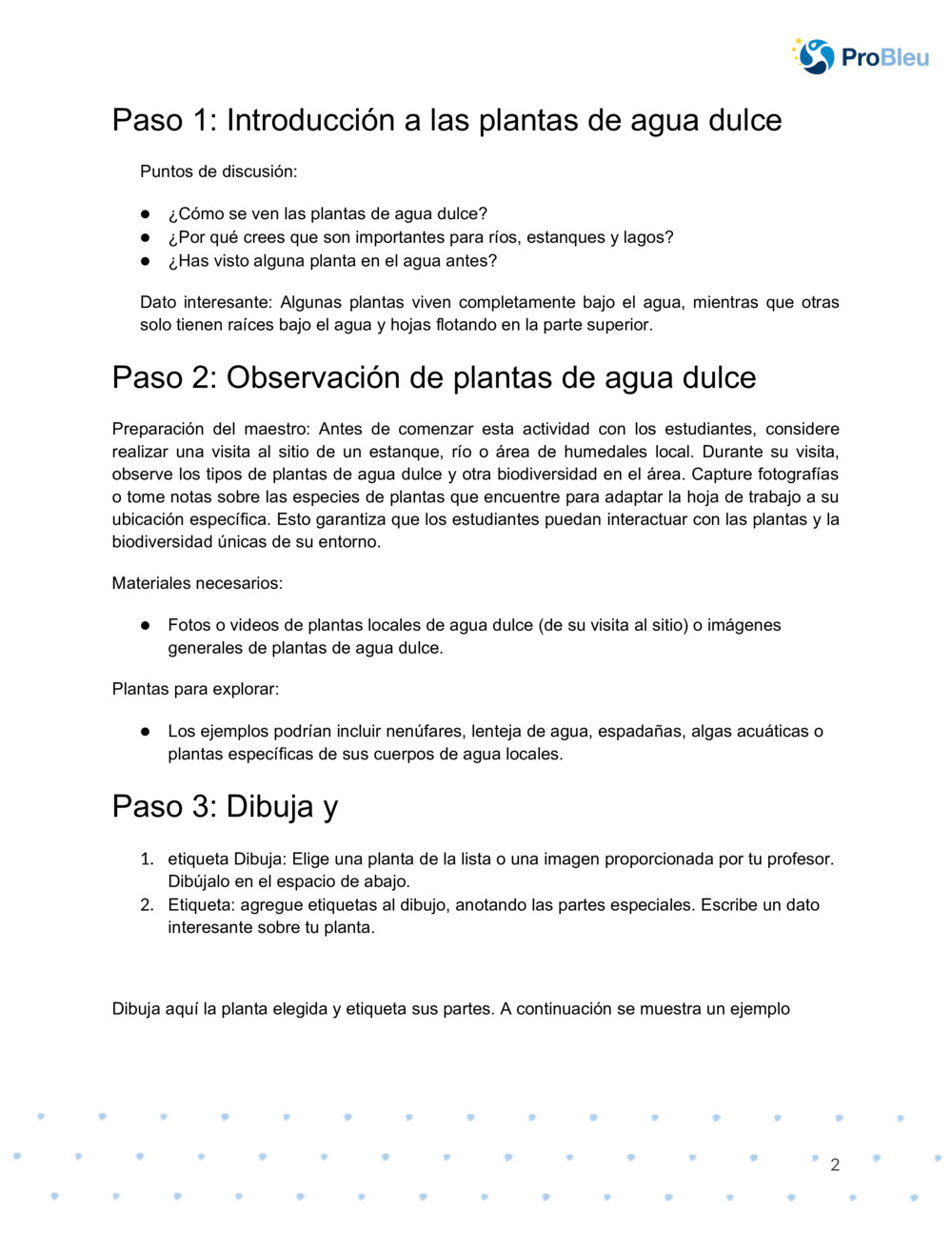  Hoja de trabajo de dibujo botánico_1
