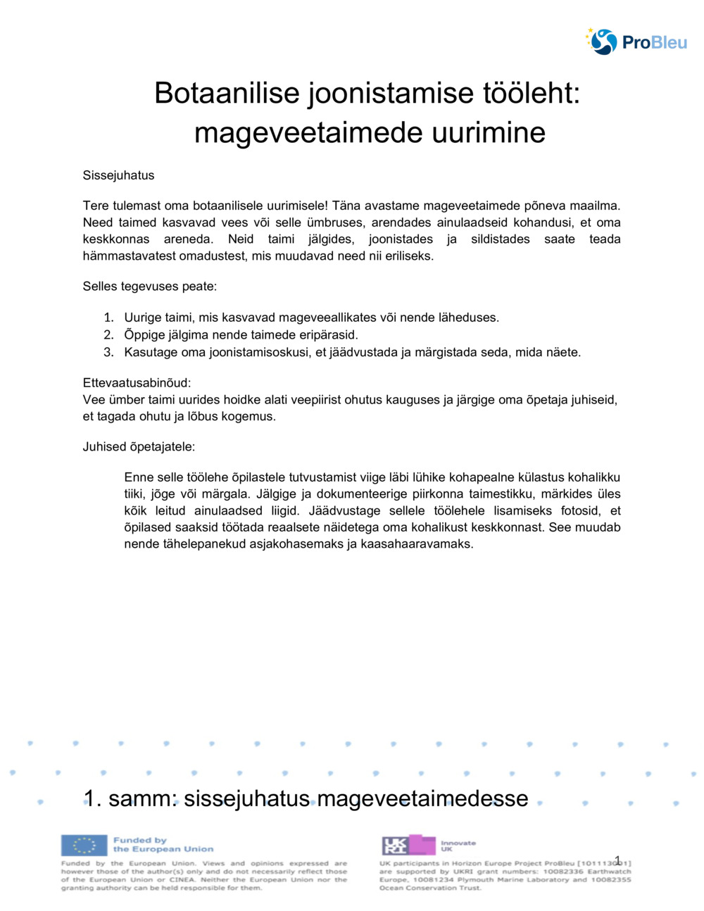 Botaanilise joonise tööleht_0