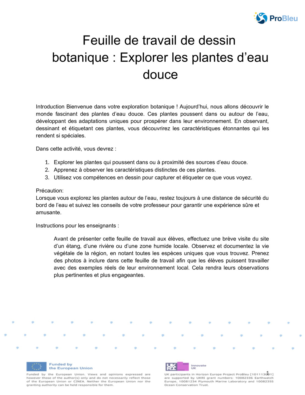  Feuille de dessin botanique_0