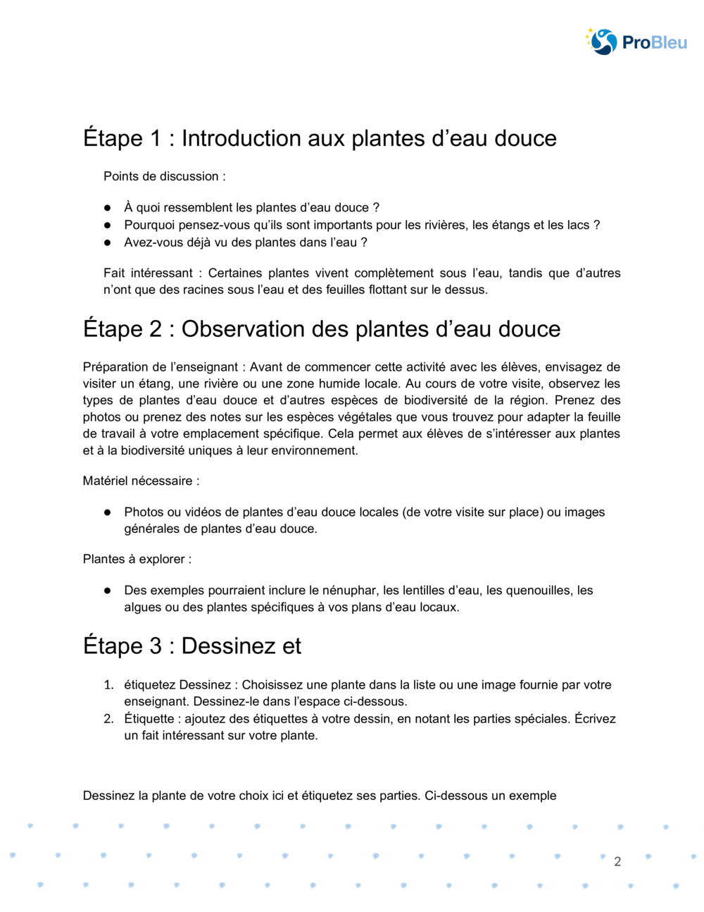  Feuille de dessin botanique_1