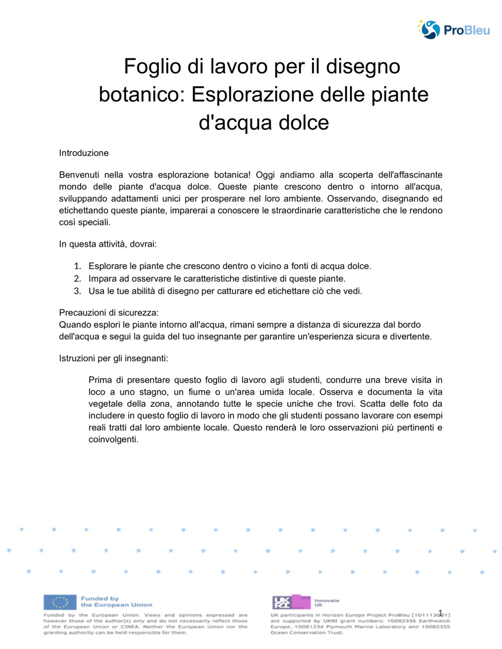  Foglio di lavoro per il disegno botanico_0