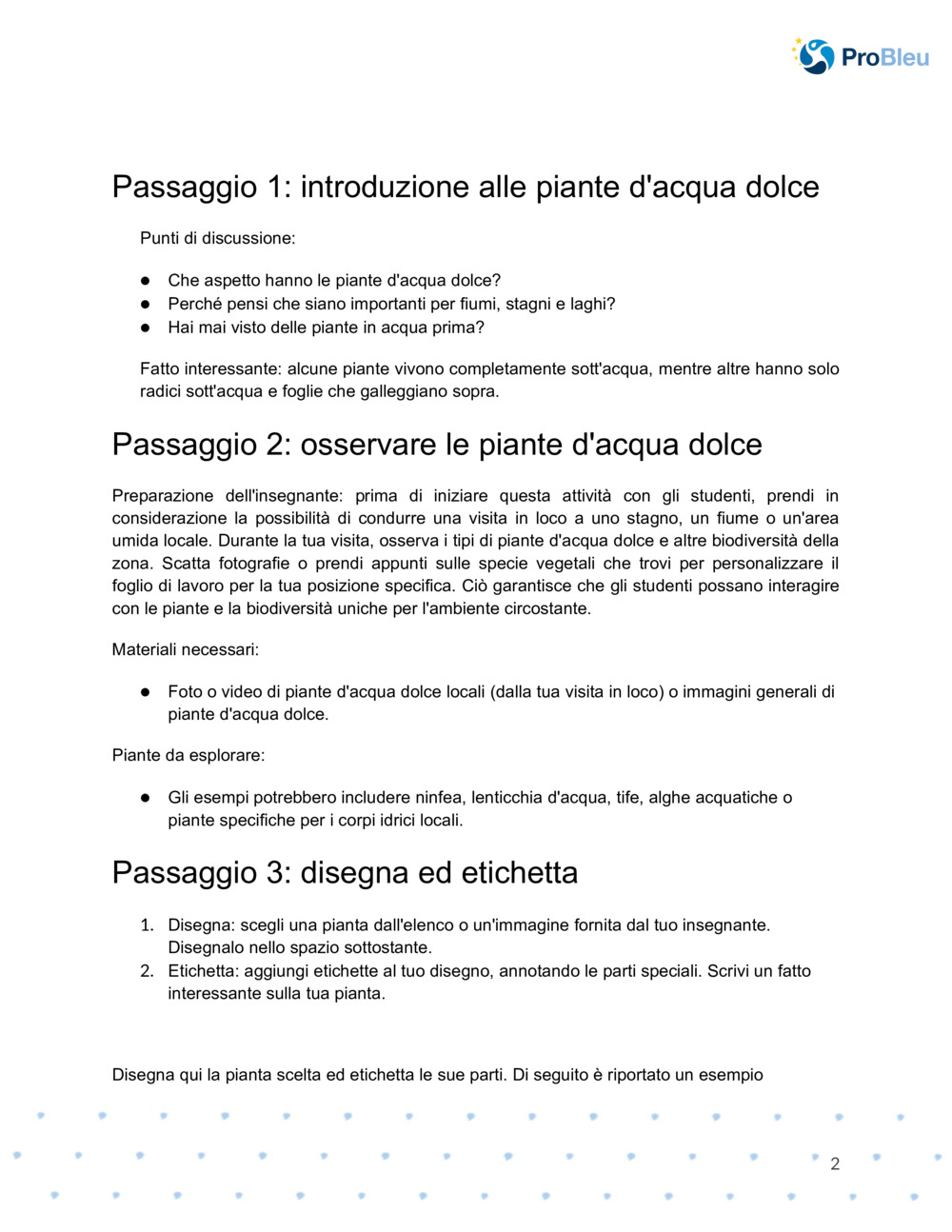  Foglio di lavoro per il disegno botanico_1
